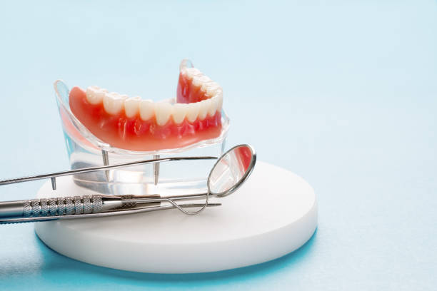 Professional Dental Services in Coral Gables, FL